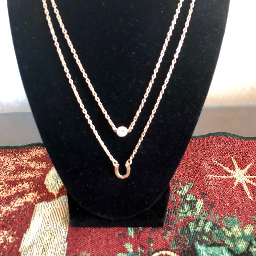 NWT Gold Pendant Horseshoe Necklace